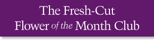 The Fresh-Cut Flower of the Month Club