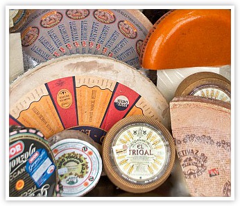 Gourmet Cheese Since 1994