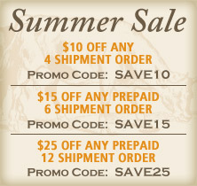 Summer Sale