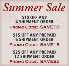 Summer Sale
