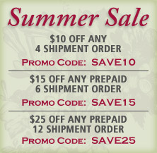 Summer Sale
