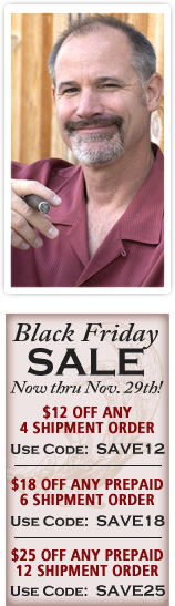 Black Friday Promo