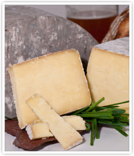 sliced cheese