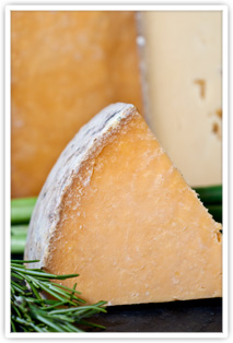 Aged Cheddar Aged Cheddar