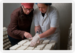 One of Our Buyers On Location Inspecting Goat Cheeses One of Our Buyers On Location Inspecting Goat Cheeses