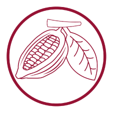 Maroon Chocolate Logo