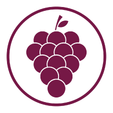 Purple Grape Logo